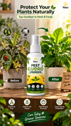Pest Guard Plant Spray | Aphid, Mealybug & Whitefly Care | Pack of 3 ₹499